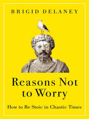 cover image of Reasons Not to Worry